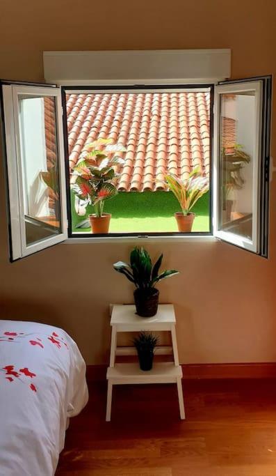 Precioso Loft En Pleno Corazon De וייאדוליד מראה חיצוני תמונה